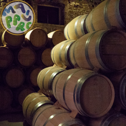 maiauparc-vignerons maiauparc-vignerons